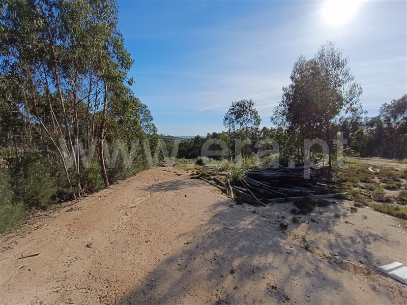 Terreno para Construção  Torres Vedras, Santa Maria, São Pedro e Matacães - 1401062 - 6