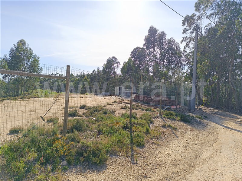 Terreno para Construção  Torres Vedras, Santa Maria, São Pedro e Matacães - 1401062 - 9