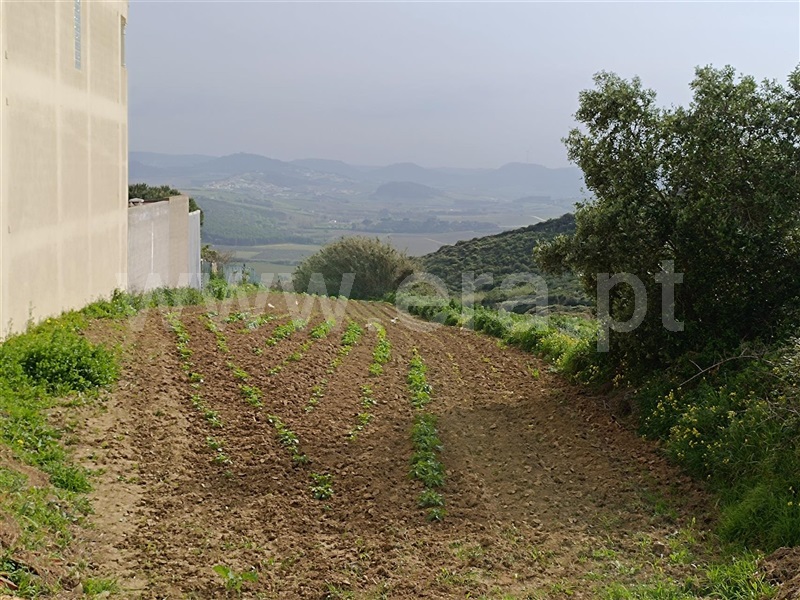 Terreno para Construção  Torres Vedras, Turcifal - 1423037 - 4