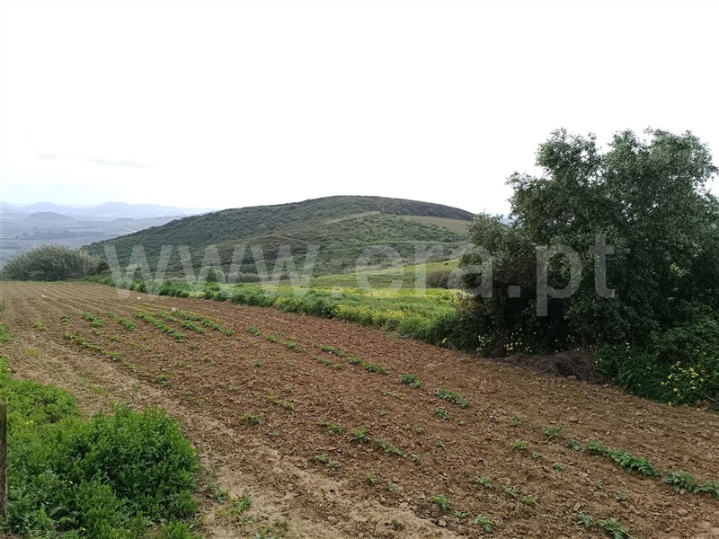 Terreno para Construção  Torres Vedras, Turcifal - 1423037 - 5