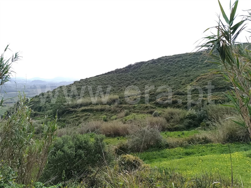 Terreno para Construção  Torres Vedras, Turcifal - 1423037 - 12