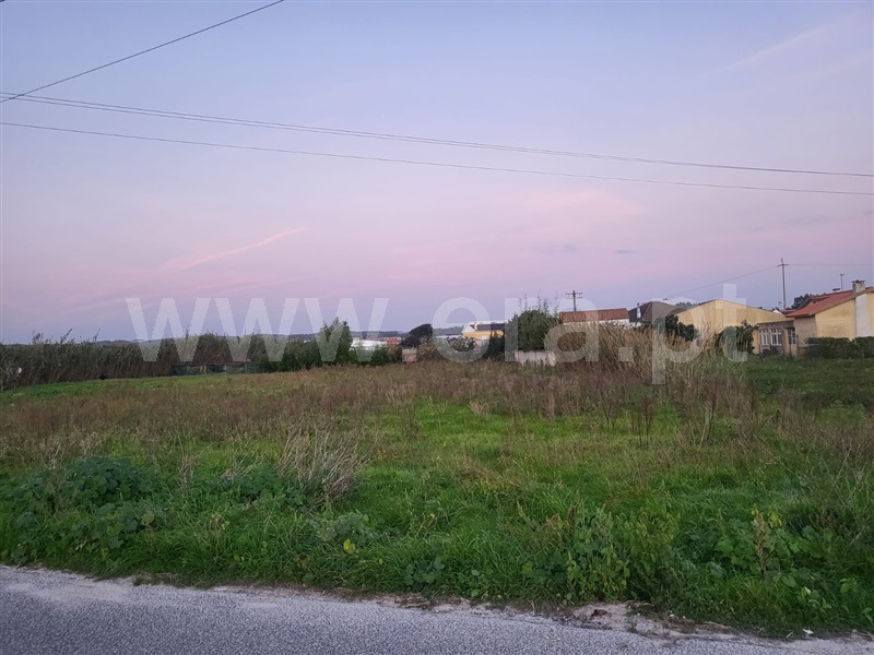 Terreno para Construção / Torres Vedras, Silveira