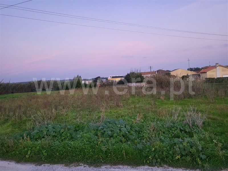 Terreno para Construção  Torres Vedras, Silveira - 1441676 - 2