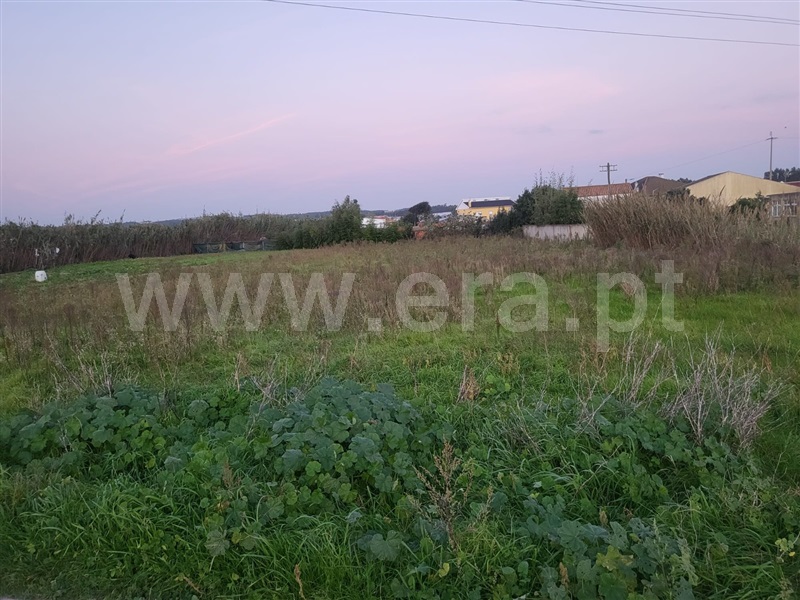 Terreno para Construção  Torres Vedras, Silveira - 1441676 - 4