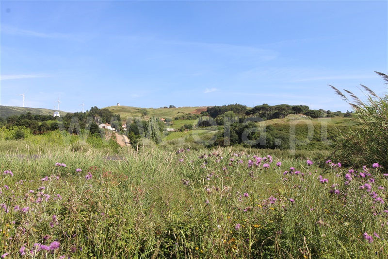 Terreno para Construção  Torres Vedras, Turcifal - 1175520 - 1