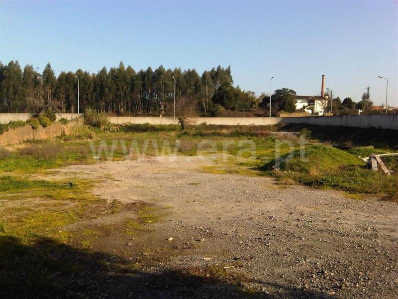 Terreno para Construção / Trofa, São Martinho de Bougado