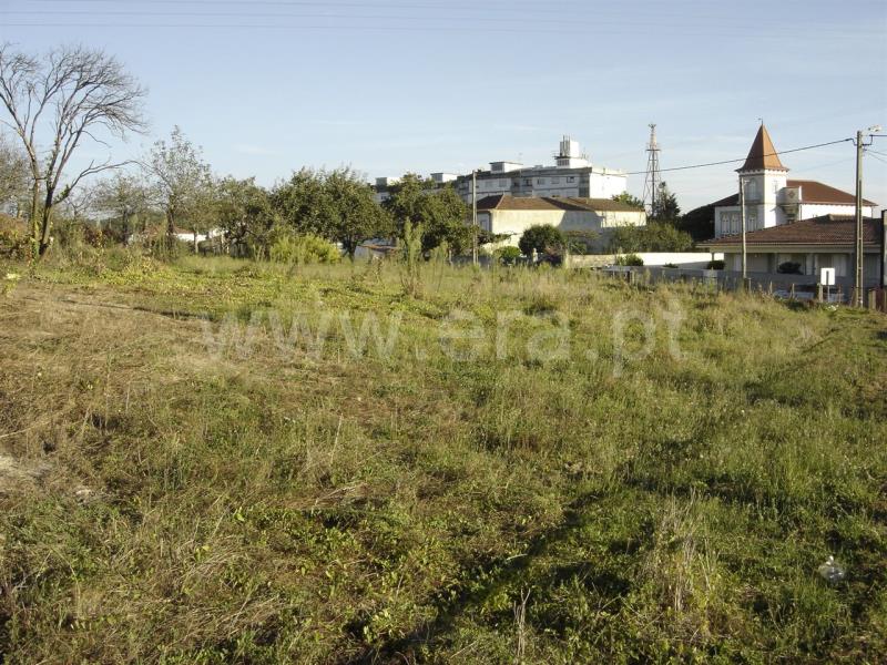 Terreno para Construção / Trofa, São Romão do Coronado