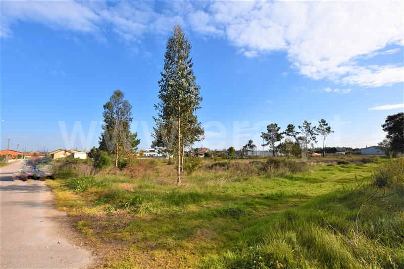 Loteamento  Vagos, Ouca - 1222768 - 1