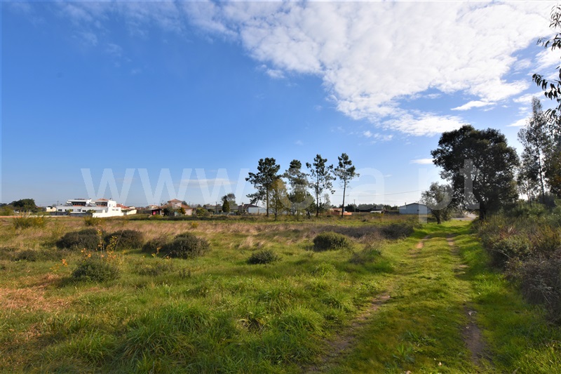 Loteamento  Vagos, Ouca - 1222768 - 2