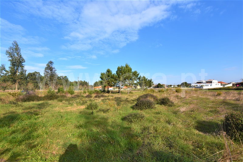 Loteamento  Vagos, Ouca - 1222768 - 3