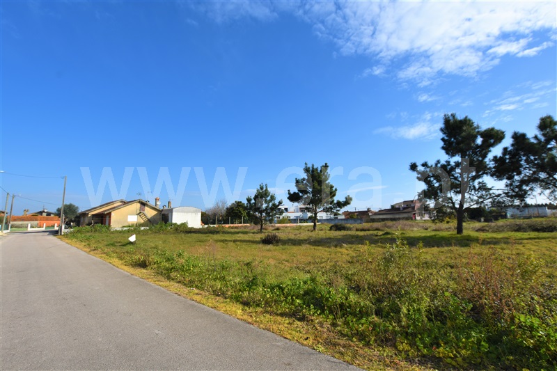 Terreno para Construção / Vagos, Ouca