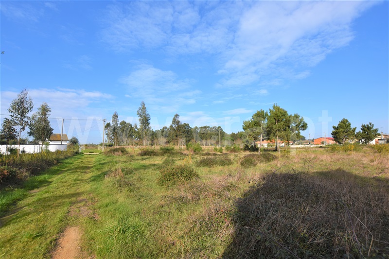 Loteamento  Vagos, Ouca - 1222768 - 5