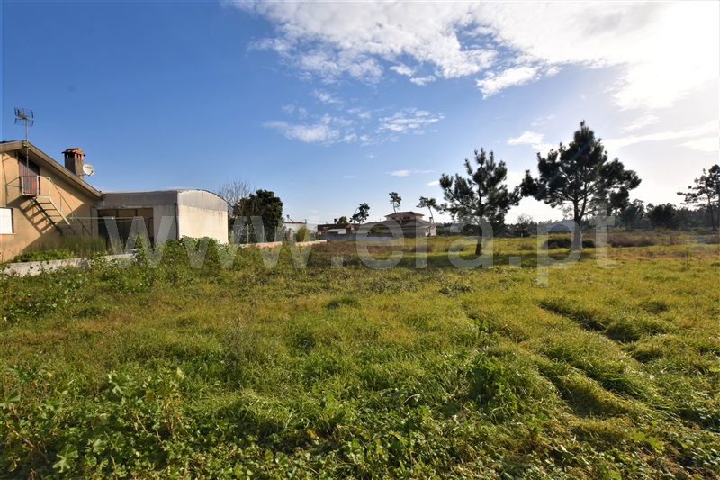 Loteamento  Vagos, Ouca - 1222768 - 8