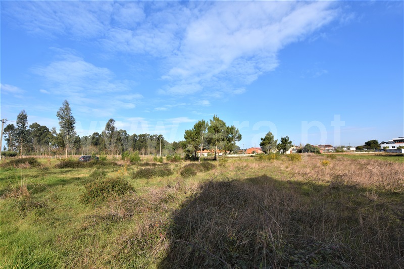 Loteamento  Vagos, Ouca - 1222768 - 9
