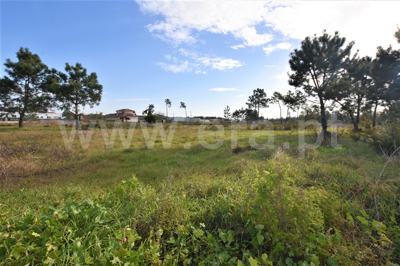 Loteamento  Vagos, Ouca - 1222768 - 10