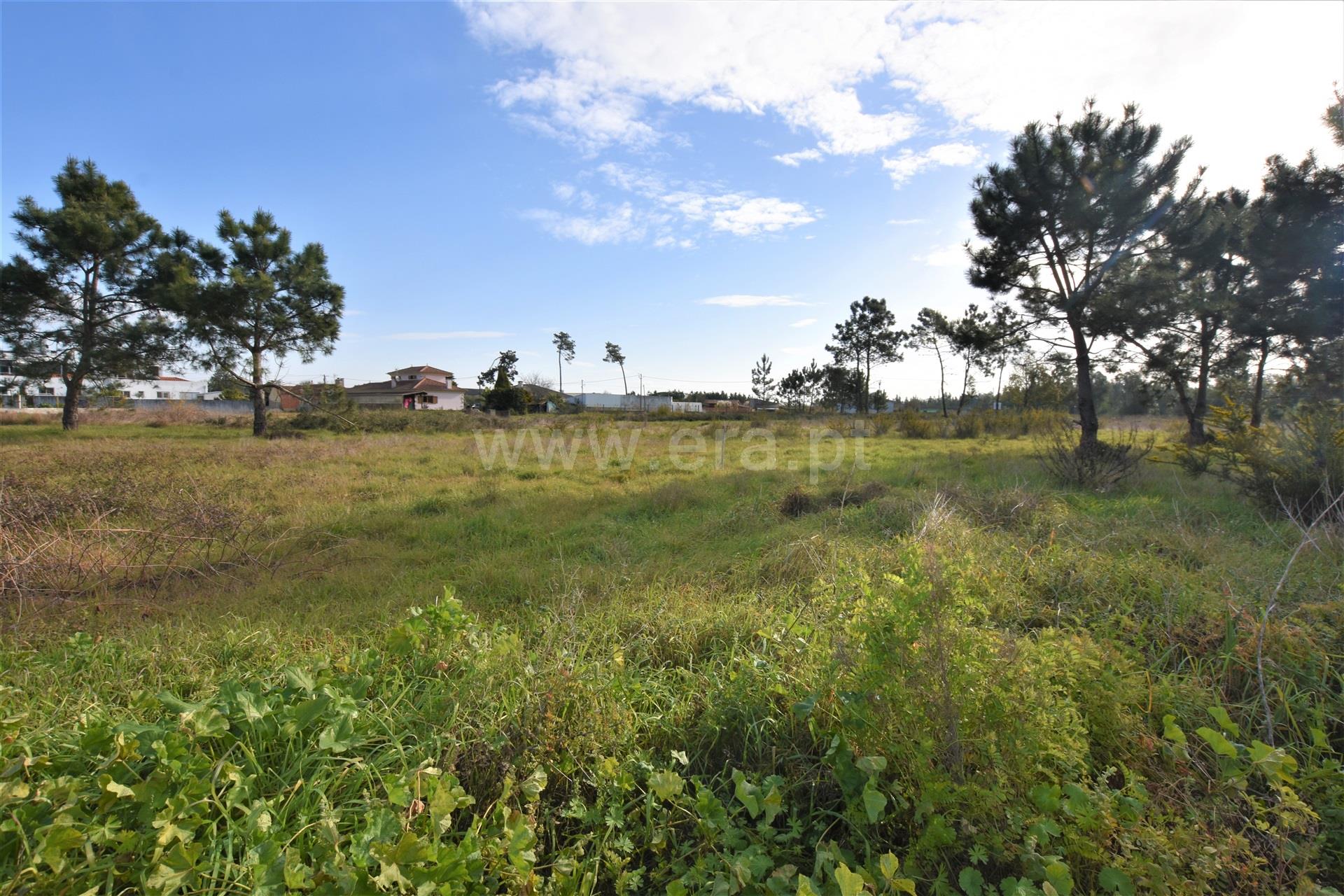 Land for sale in Vagos, Portugal — €95,000