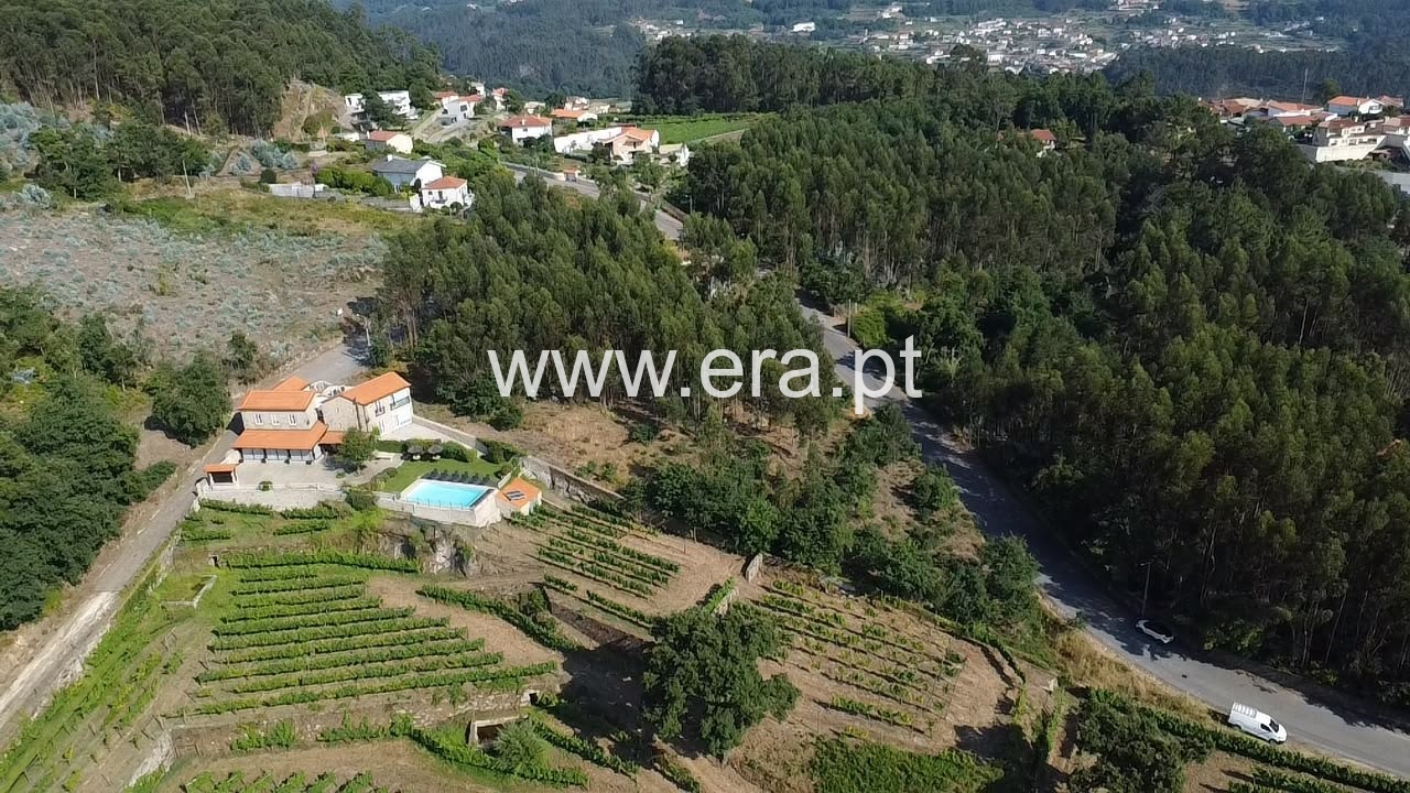 Terreno para Construção / Vale de Cambra, Macieira de Cambra