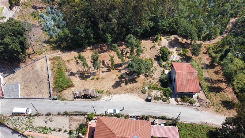 Terreno para Construção / Vale de Cambra, Macieira de Cambra