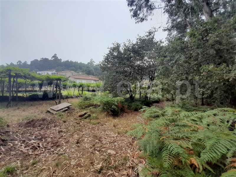 Terreno para Construção  Vale de Cambra, Roge - 1266233 - 4