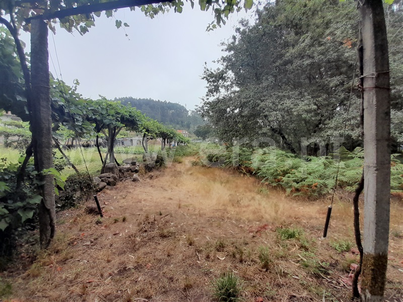 Terreno para Construção  Vale de Cambra, Roge - 1266233 - 5