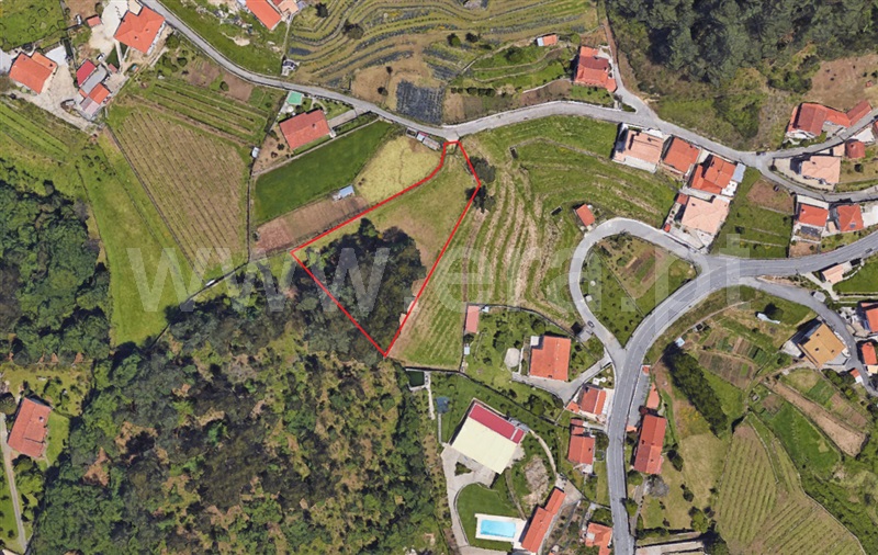 Terreno para Construção  Vale de Cambra, Roge - 1266233 - 9