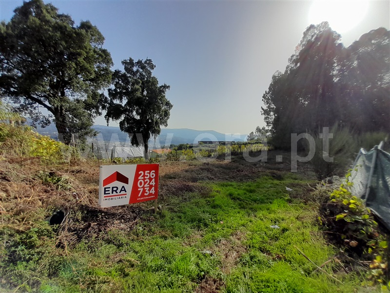 Terreno para Construção  com Urbano Vale de Cambra, Roge - 1266233 - 9