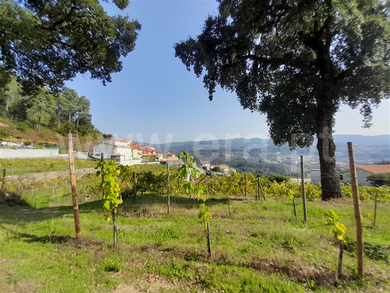 Terreno para Construção  com Urbano Vale de Cambra, Roge - 1266233 - 10
