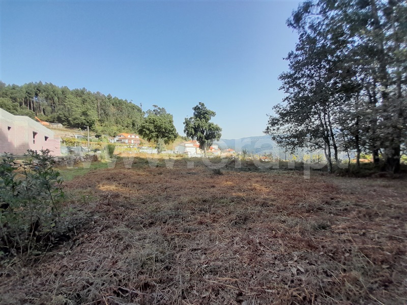 Terreno para Construção  com Urbano Vale de Cambra, Roge - 1266233 - 11