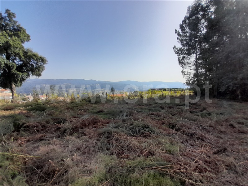 Terreno para Construção  com Urbano Vale de Cambra, Roge - 1266233 - 12