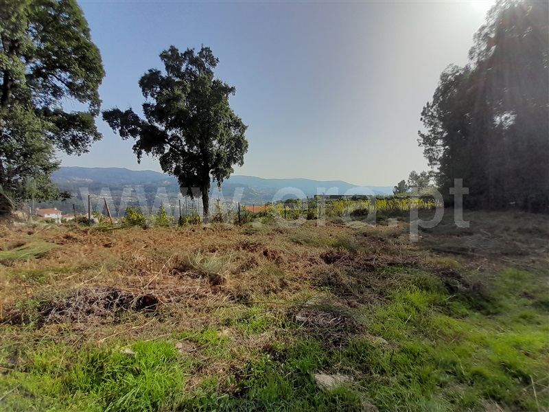 Terreno para Construção  com Urbano Vale de Cambra, Roge - 1266233 - 13