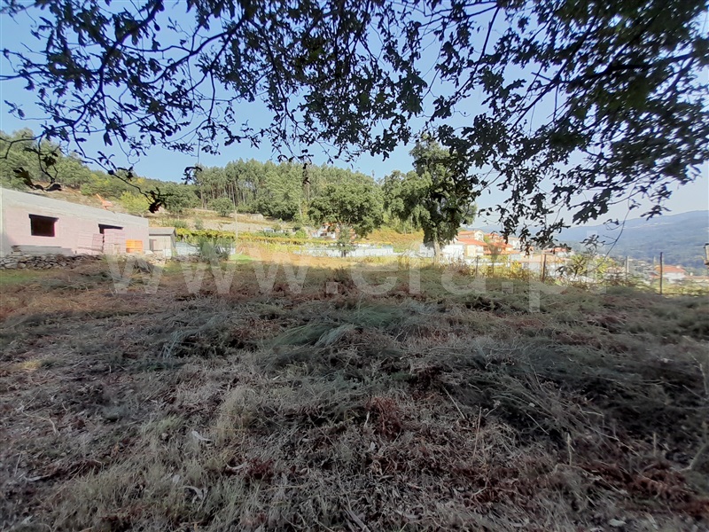 Terreno para Construção  com Urbano Vale de Cambra, Roge - 1266233 - 14