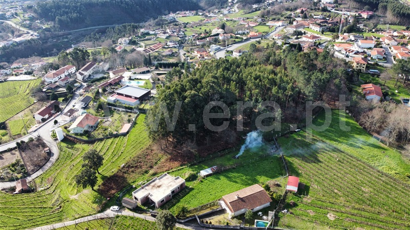 Terreno para Construção  com Urbano Vale de Cambra, Roge - 1266233 - 14