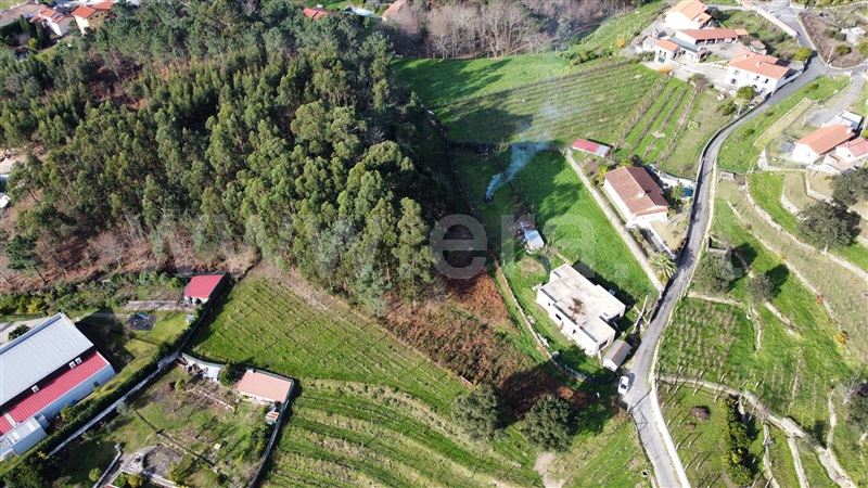 Terreno para Construção  com Urbano Vale de Cambra, Roge - 1266233 - 15
