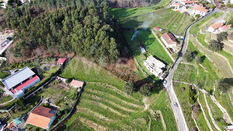 Terreno para Construção  com Urbano Vale de Cambra, Roge - 1266233 - 16