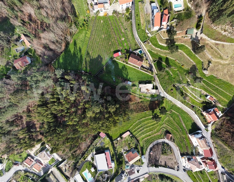 Terreno para Construção / Vale de Cambra, Roge