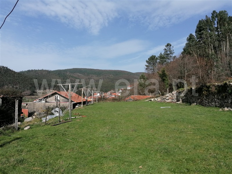 Terreno para Construção / Vale de Cambra, Roge