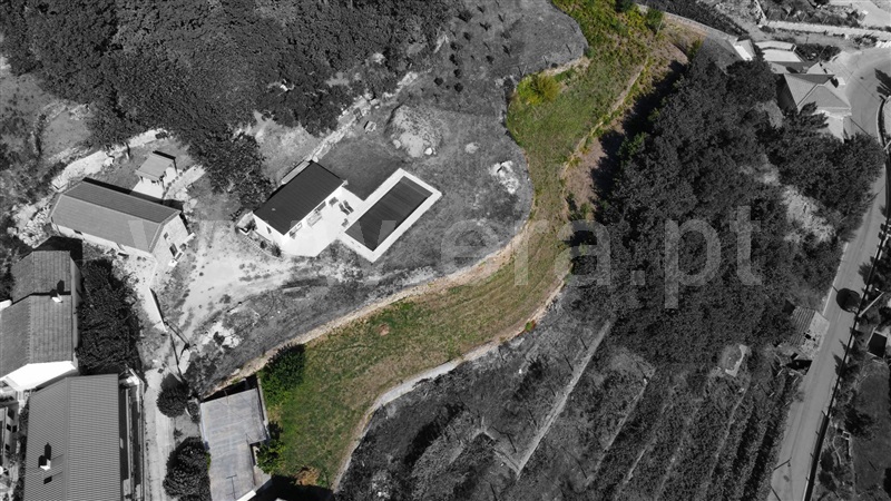 Terreno para Construção / Vale de Cambra, Roge