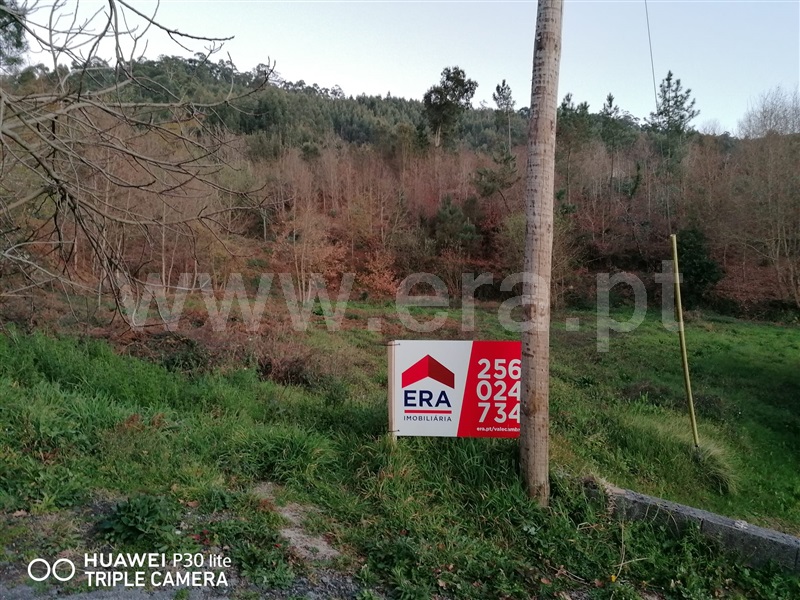 Terreno  Vale de Cambra, São Pedro de Castelões - 1231163 - 1