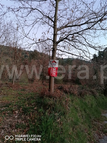 Terreno  Vale de Cambra, São Pedro de Castelões - 1231163 - 2