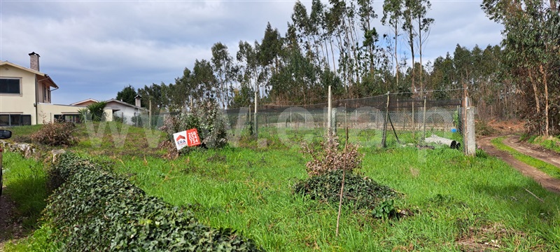 Terreno para Construção / Vale de Cambra, São Pedro de Castelões