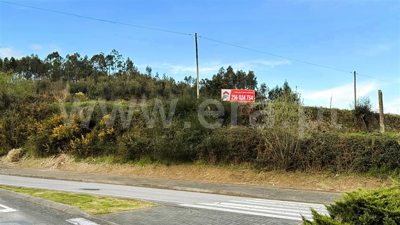 Terreno para Construção / Vale de Cambra, São Pedro de Castelões