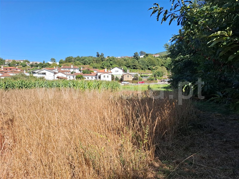 Terreno para Construção / Vale de Cambra, São Pedro de Castelões