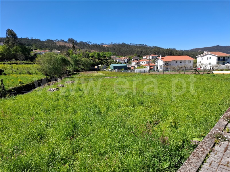 Terreno para Construção / Vale de Cambra, São Pedro de Castelões