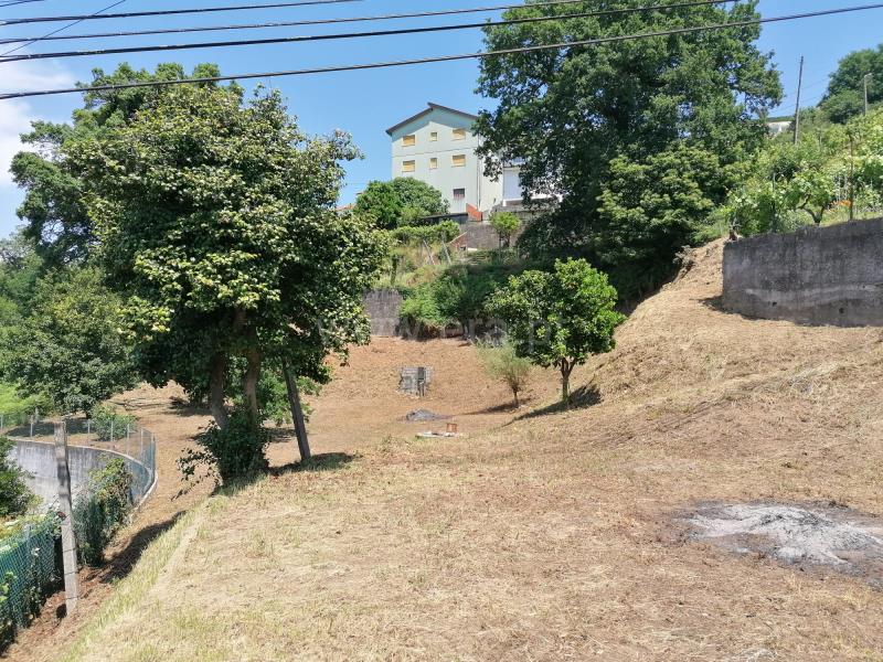 Terreno para Construção / Vale de Cambra, São Pedro de Castelões