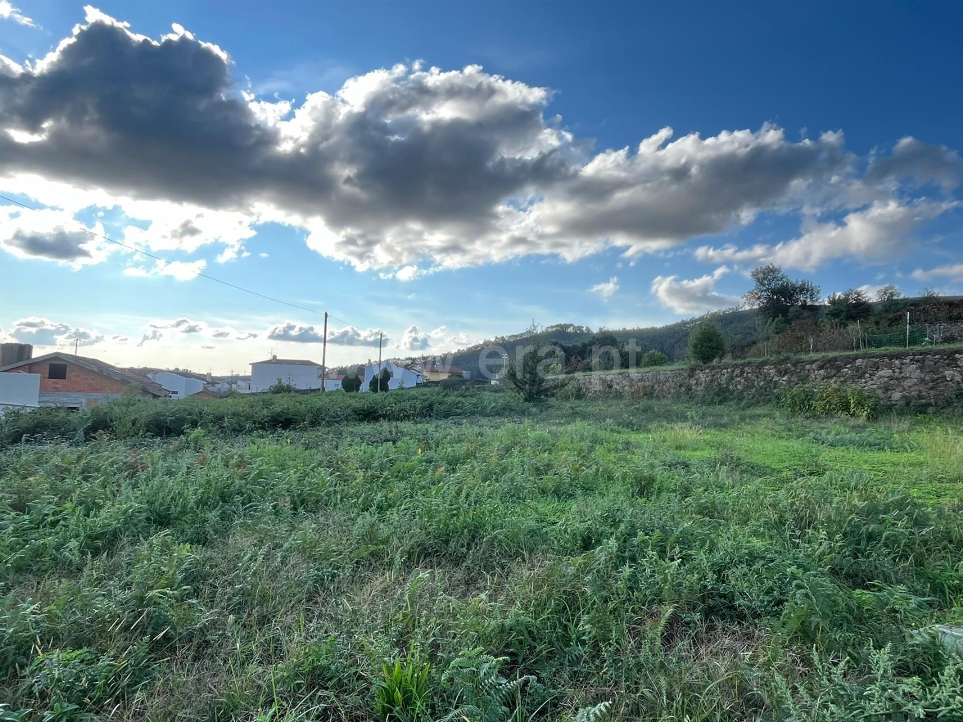 Land for sale in Vale de Cambra, Portugal — €150,000