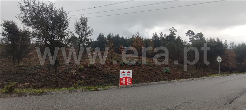Terreno para Construção / Vale de Cambra, Vila Chã, Codal e Vila Cova de Perrinho