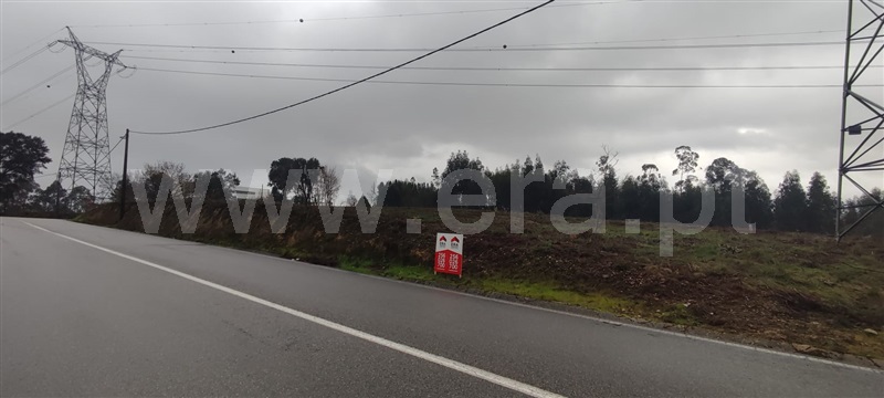 Terreno para Construção  Vale de Cambra, Vila Chã, Codal e Vila Cova de Perrinho - 1376814 - 4