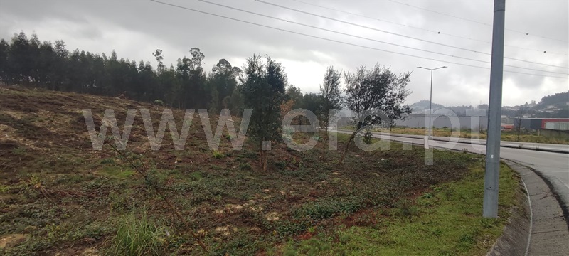 Terreno para Construção  Vale de Cambra, Vila Chã, Codal e Vila Cova de Perrinho - 1376814 - 6