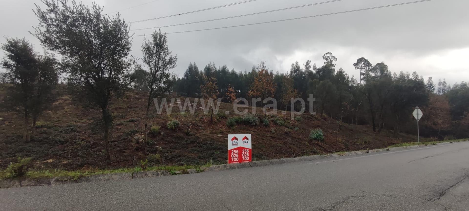 Land for sale in Vale de Cambra, Portugal — €135,000