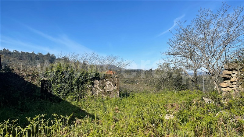 Terreno para Construção / Valença, Fontoura
